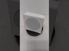 SPEAKER DINDING FWS-103