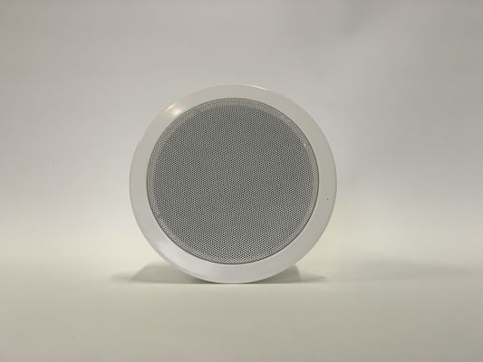 IP POE Powered Ceiling Speaker Amplifier Built-In 6W Kelas D Amplifier
